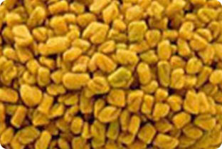 Fenugreek Seeds